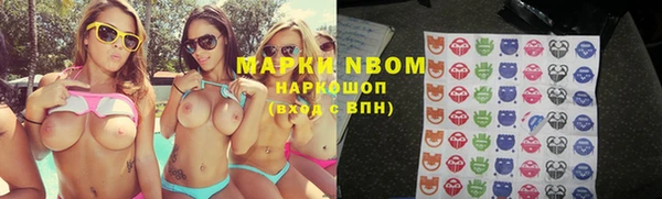 трава Беломорск